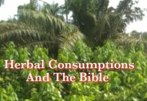 Herbal Consumption: Does The Bible Say Anything About Natural Healing?